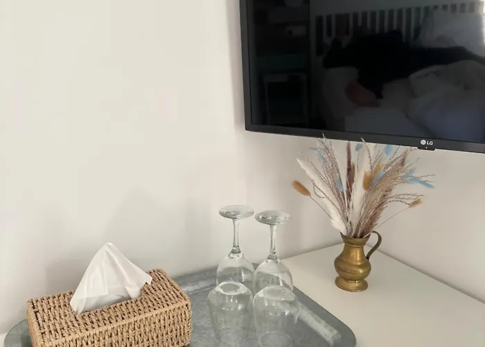 Guest house Halta Pescarus Douazeci si Trei August